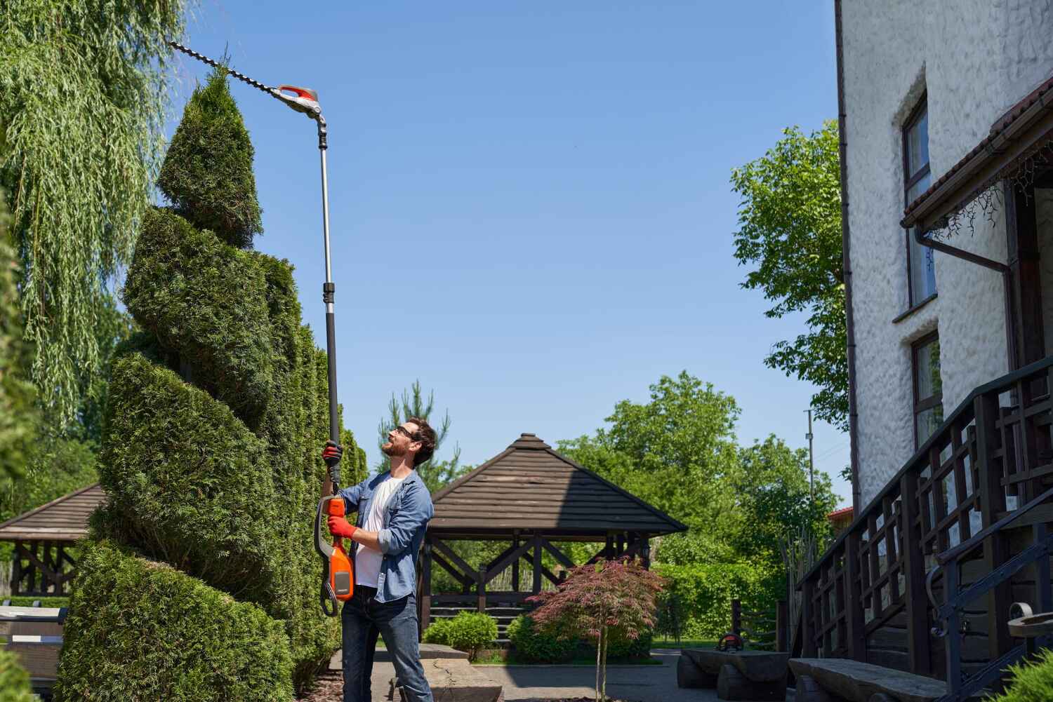 Emergency Storm Tree Removal